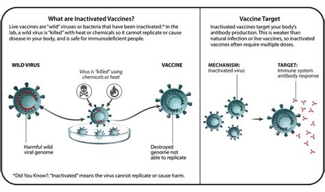 Understanding Six Types Of Vaccine Technologies Pfizer