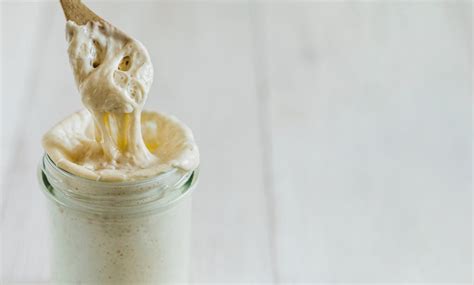 100 Funny Names for Your Sourdough Starter – Davis Manor