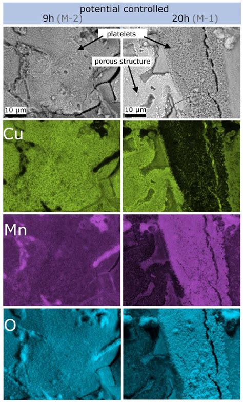 Elemental Analysis Of Sem Images Performed By Eds Mapping For Cu Mn