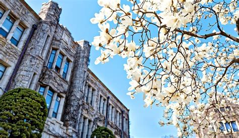 Study Abroad At Yonsei University Saf