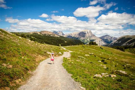 Sunshine Meadows Hike in Banff National Park - Travel Banff Canada