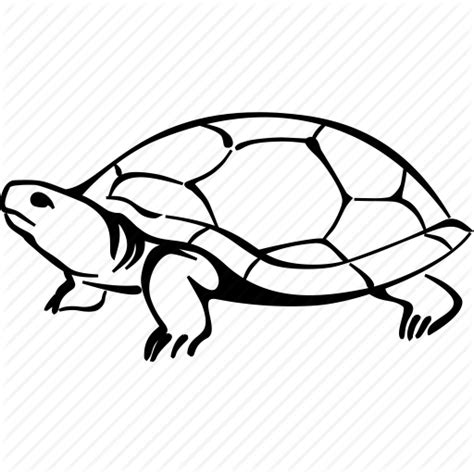 Download Tortoise Svg For Free Designlooter 2020 👨‍🎨