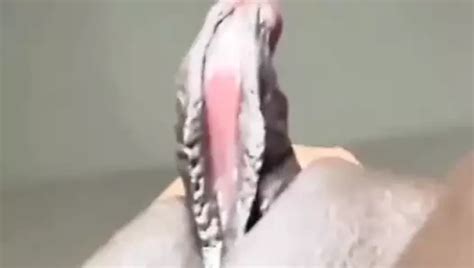 Big Clit Twerking Amateur Porn Feat Linda Lobez XHamster