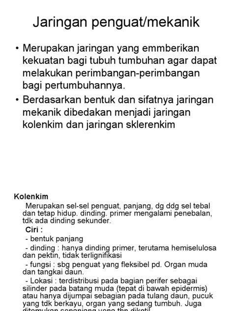 Jaringan Penguatmekanik Pdf