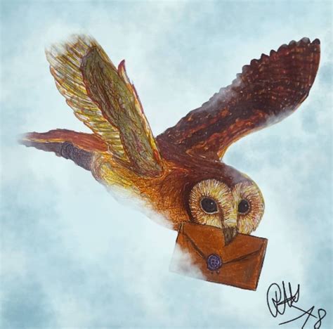 Harry Potter Owl With Ma Hogwarts Letter I Was Bored Th March