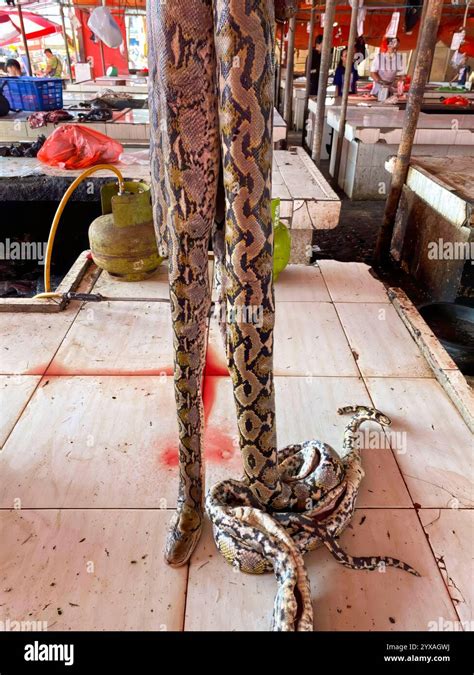 Python meat often called Daging Ular in Traditional Market Tomohon ...