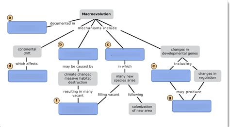 Bio Ch Diagram Quizlet