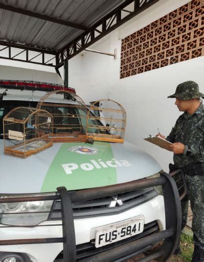 Polícia Ambiental resgata aves de cativeiro e autua infrator em R 2