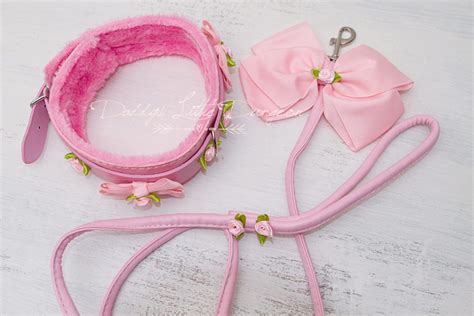 Ddlg Pretty Pink Furry Bdsm Bondage Collar And Leash Set Roses Bows