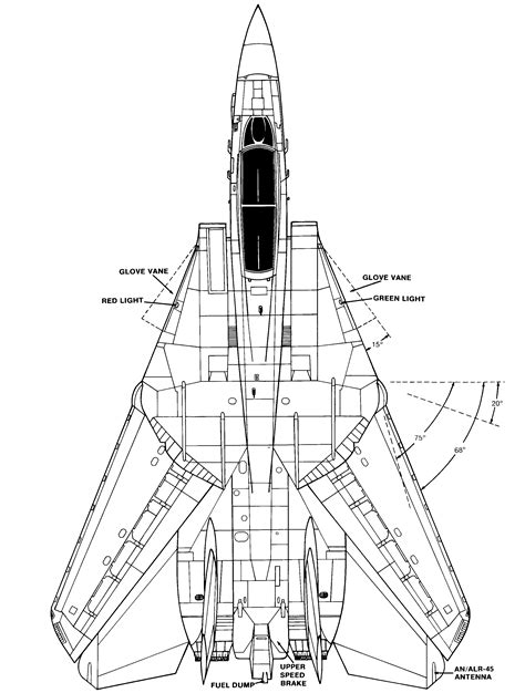 Grumman F-14 Tomcat Blueprint - Download free blueprint for 3D modeling