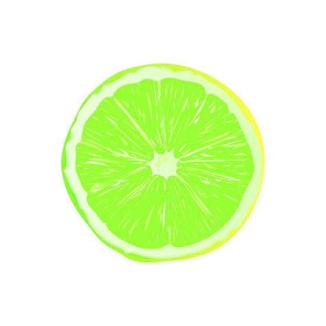 Premium Vector Vector Slice Ripe Lemon Citrus Fruit On A White