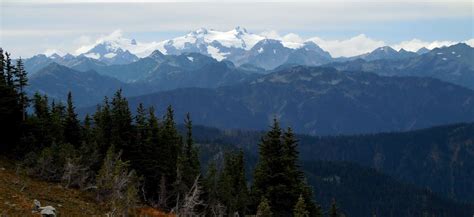 Olympic National Park Wildlife - National Park Photographer