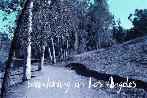 Milam By Sophie Saxo | TheHungryJPEG