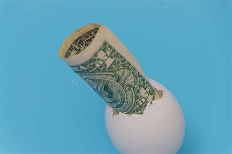 A One Dollar In An Egg Shell On White Background Stock Photo Image Of