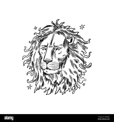 Leo Zodiac Sign Modern Magic Astrological Symbol Illustration Of