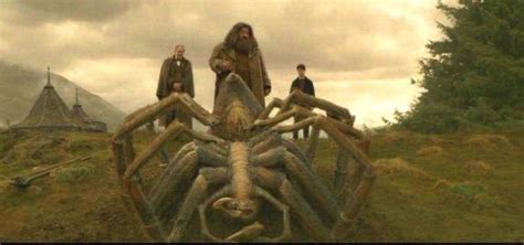 The Giant Spiders | Harry Potter Amino