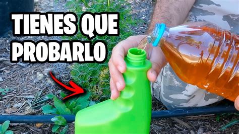 Soluciones Orgánicas Para El Control De Plagas En Jardinería Menudo Jardin