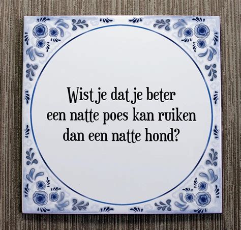 Tegeltje Met Spreuk Tegeltjeswijsheid Wist Je Dat Je Beter Een Natte