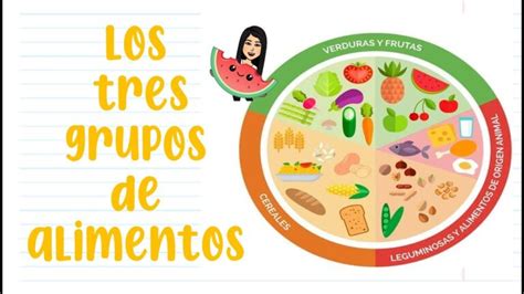 Cu Les Son Los Grupos De Alimentos Del Plato Del Buen Comer