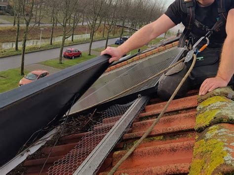 Vogelwering Zonnepanelen Plaatsen Housecare Service