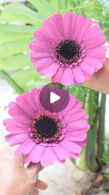 Flores De Papel Crep On Instagram Gerberas Gerbera Gerberas