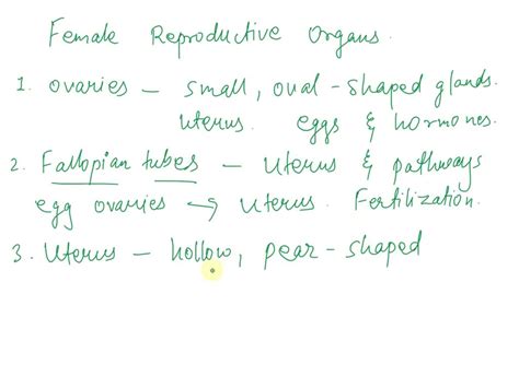 SOLVED Describe The Anatomy And Function Of The Vagina And External