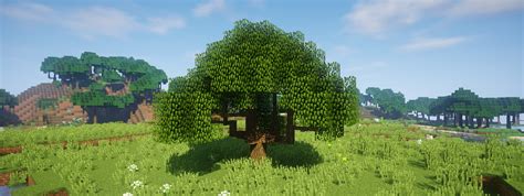 Dynamic Trees Screenshots - Mods - Minecraft