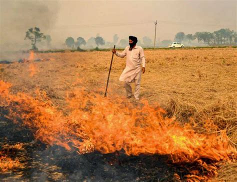 Punjab Stubble Burning 43144 Incidents Recorded Of Stubble Burning In