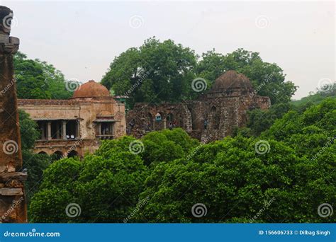 Hauz Khas Fort editorial stock photo. Image of history - 156606733