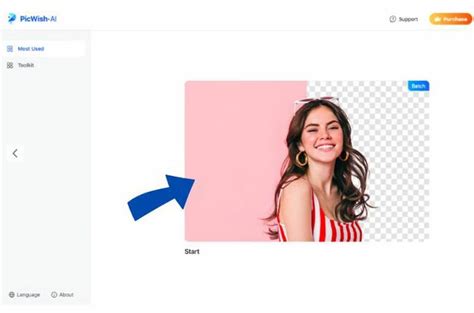 Remove Background From Images With Picwish Heres How