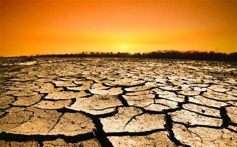 Desertificazione La Scuola Fa Notizia