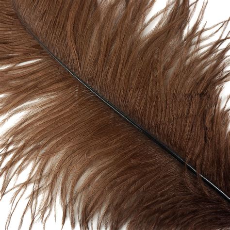 Large Ostrich Feathers 17 Drabs Brown By