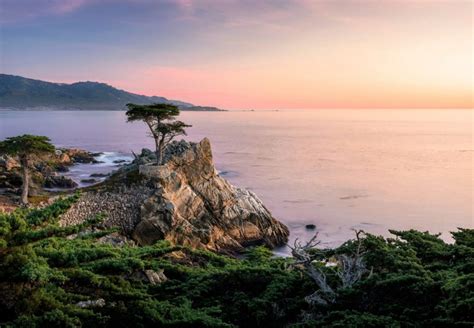 10 Amazing Things To Do In Carmel By The Sea CuddlyNest