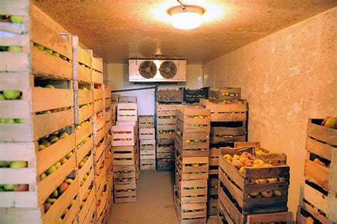 Stockage Des Fruits Et Légumes Les Chambres Froides Sont Vides Algerie360