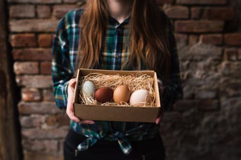 Woman`s Hands Holding A Box Of Chicken Eggs Diversity Of Chicken Eggs