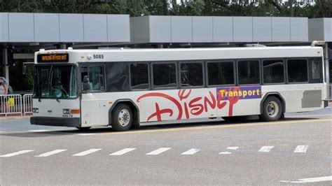 Disney World Bus Ride To Magic Kingdom From Disneys Animal Kingdom In ...