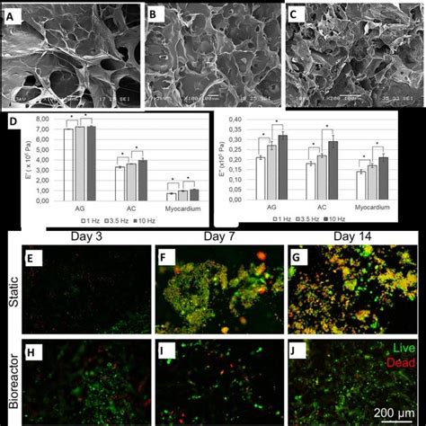 Formation Of Protein Polysaccharide Gel Complexes At Different Stages Download Scientific