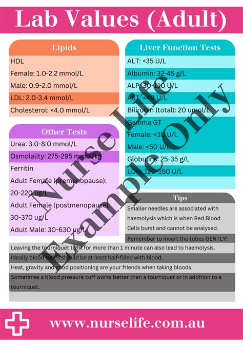 Cheat Sheet Lab Values Adult Nurse Life