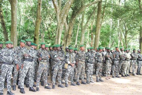 Concours Eaux et Forêts 2023 CI recrutement exceptionnel d Agents