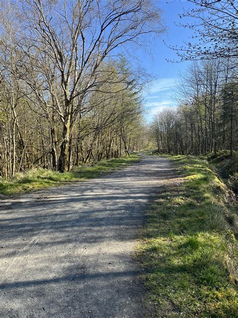 gravelcycling: a little gravel on your travels