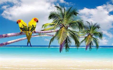 Tropical Beach Windows 10 Theme Themepackme