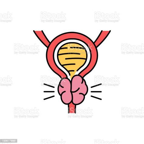 Prostate Color Line Icon Human Diseases Stock Illustration Download