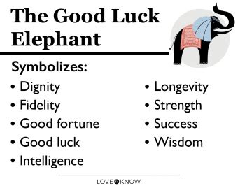 Where to Place Good Luck Elephant Statues in Feng Shui | LoveToKnow