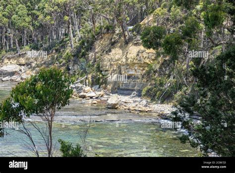 Visible Coal Seams At Historic Coal Point Adventure Bay Bruny Island