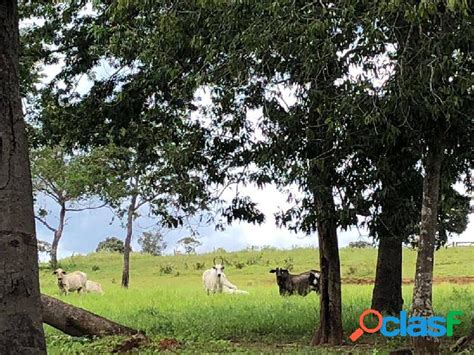 Bela Ch Cara Na Estrada De Chapada Dos Guimar Es No Km Em Chapada Dos