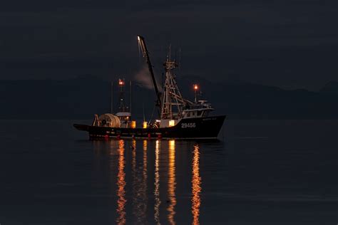 Herring Fishing Boats | Focal World