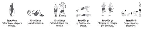 12 Ejercicios Cardio Para Educacion Fisica 2aparte NBKomputer