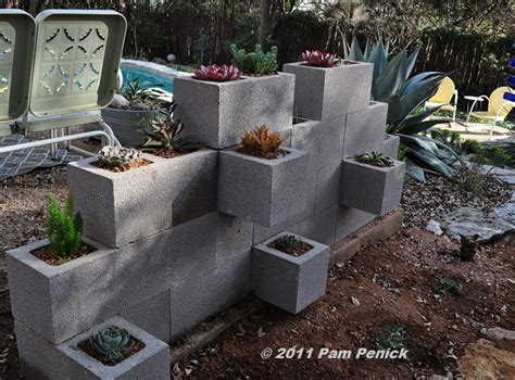 Cinder Block Succulent Garden