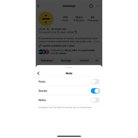 How To Mute Someone On Instagram