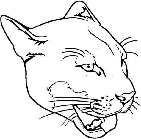 Dibujos Para Colorear Puma Imprimible Gratis Para Los Ni Os Y Los